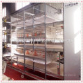 Poultry farming equipment baby chicken brooder/chicken cage for sale